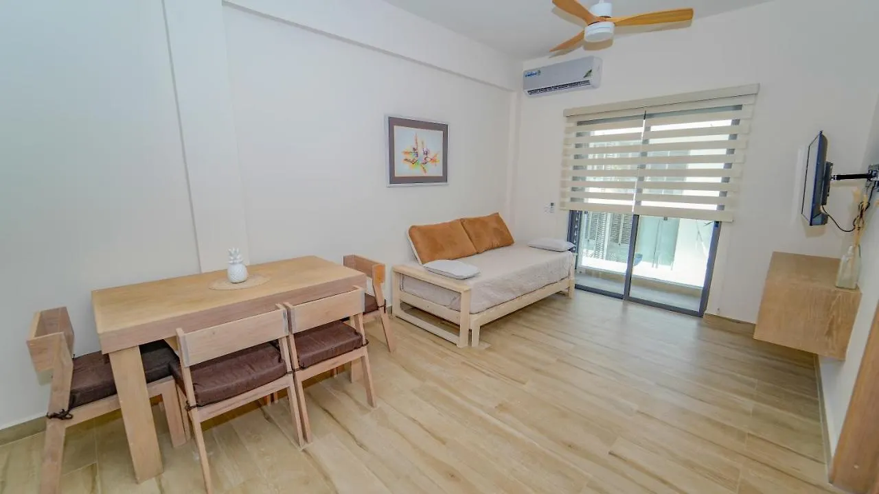 Ocean View Apartment Πλάγια Ντελ Κάρμεν 0*,  Μεξικό