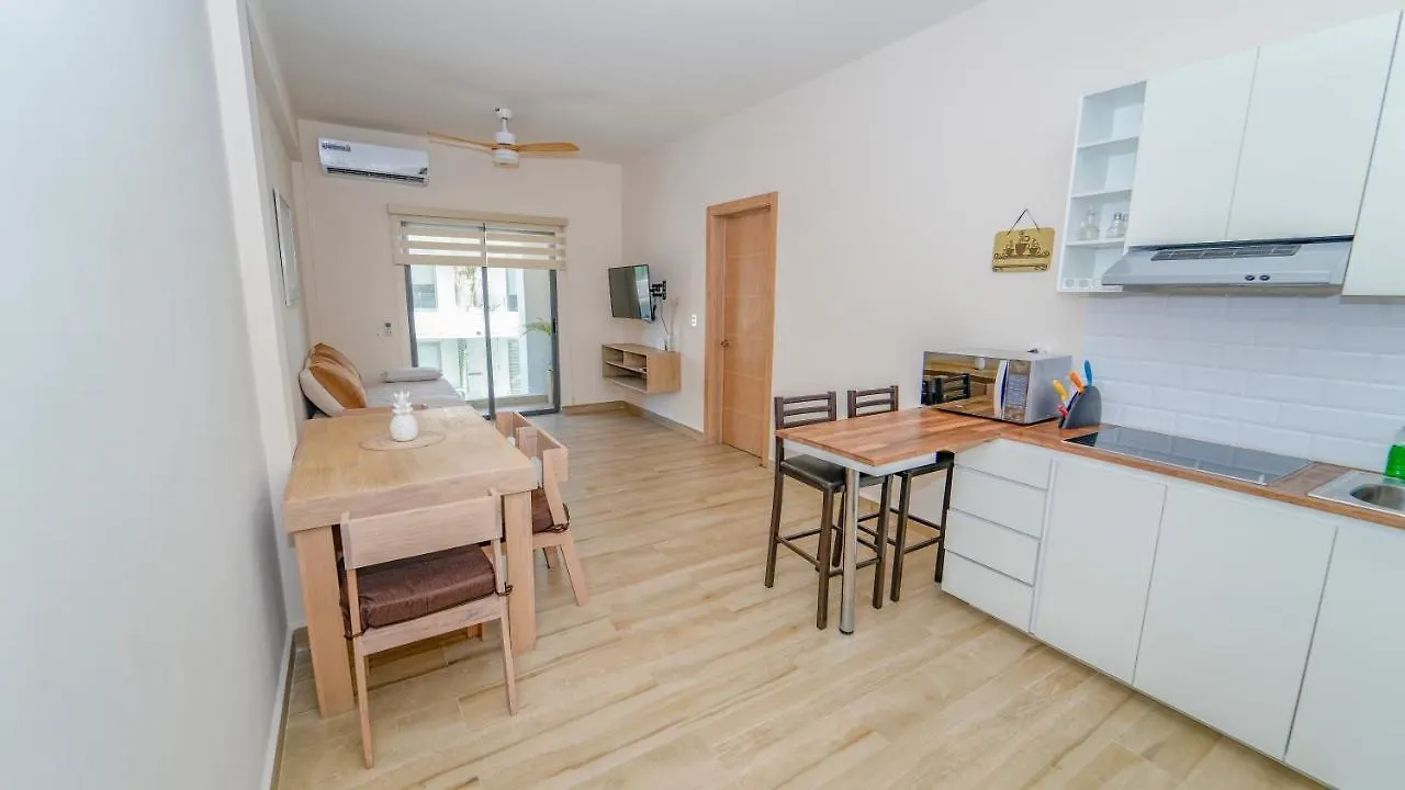 Ocean View Apartment Playa Del Carmen